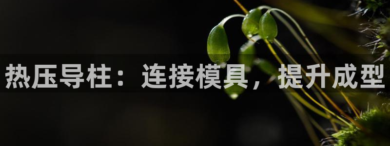 易倍申在中国成功上市
