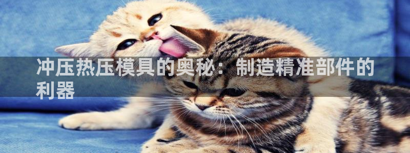 易倍纤谷物粉效果好吗