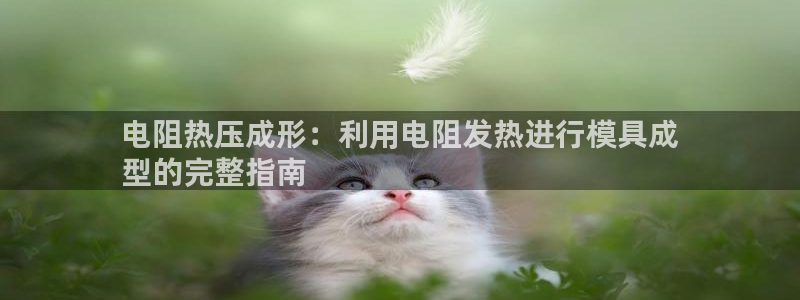 emc易倍官方平