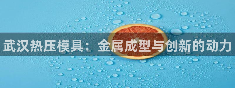 易倍申多少钱：武汉热压模具：金属成型与创新的动力