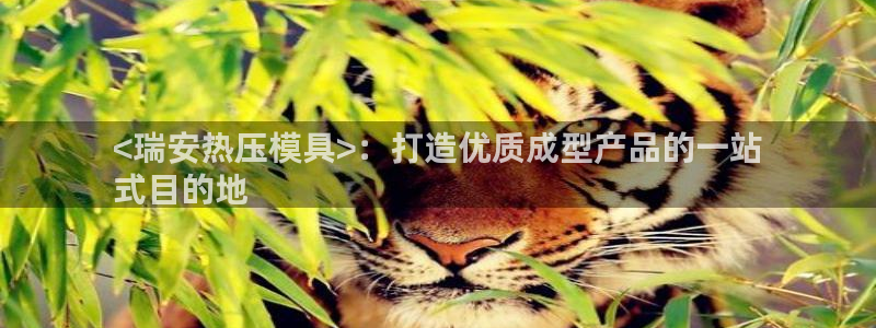 易倍达科技有限公司