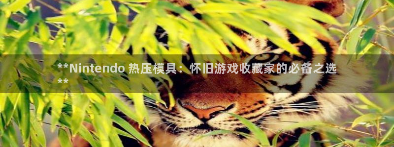 易倍纤怎么使用：**Nintendo 热压模具：怀旧游戏