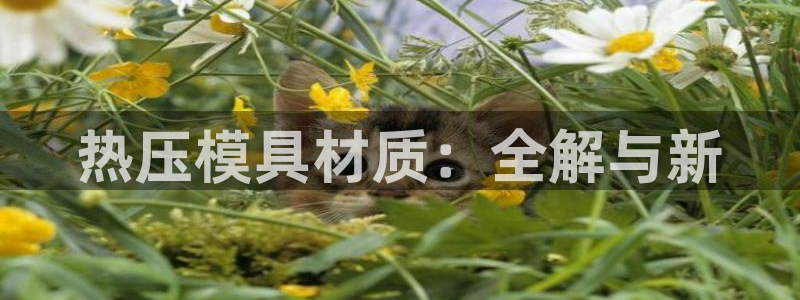 易倍emc全站