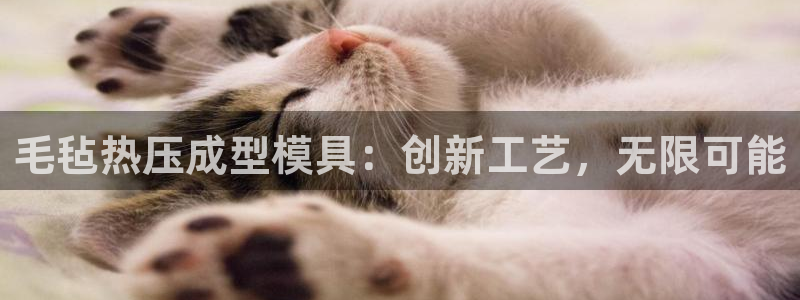 易倍单词官网下载