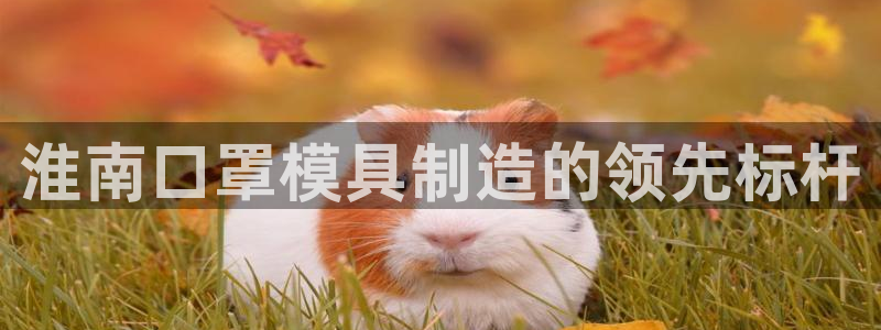 易倍emc网址：淮南口罩模具制造的领先标杆