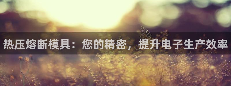 易倍网络技术有限公司是干嘛的：热压熔断模具：您的精密，提