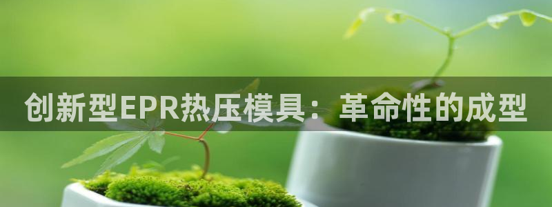 四川易倍易企业管理有限公司：创新型EPR热压模具：革命性