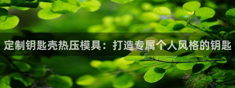 emc易倍官网app
