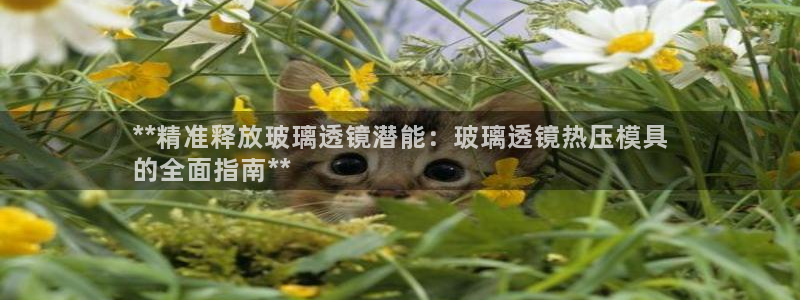易倍申片说明书
