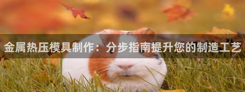 易倍纤瘦身三部曲的价格