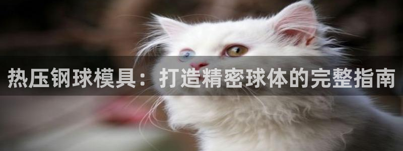 易倍EMC网址