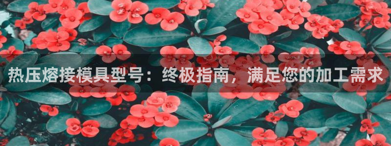 易倍网络技术有限公司官网