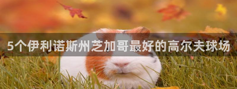emc易倍下载
