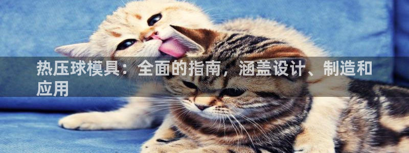 emc全站网页版