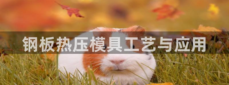 易倍单词app