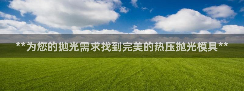 emc全站易倍：**为您的抛光需求找到完美的热压抛光模具