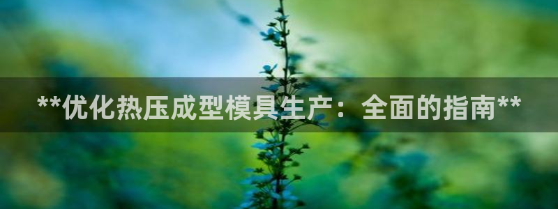 emc倍频干扰：**优化热压成型模具生产：全面的指南**