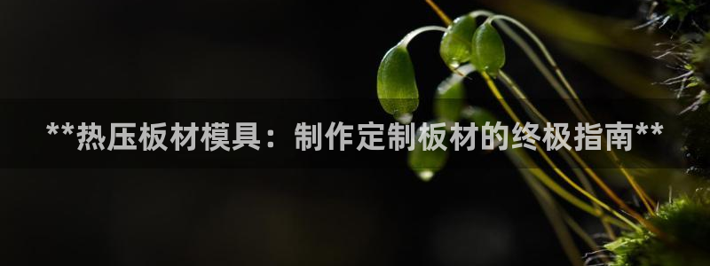 emc易倍在线登录：**热压板材模具：制作定制板材的终极