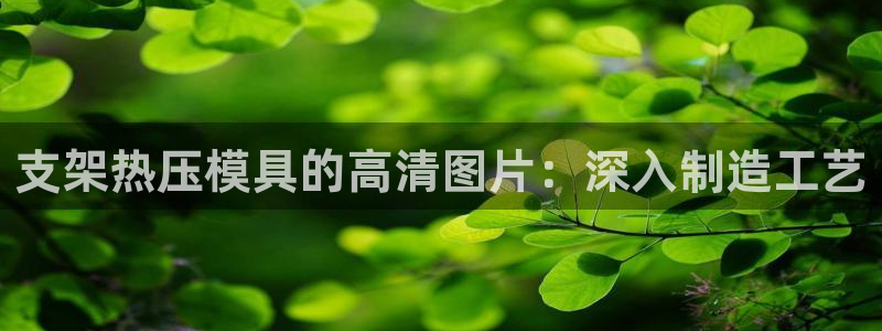 emc易倍官方：支架热压模具的高清图片：深入制造工艺