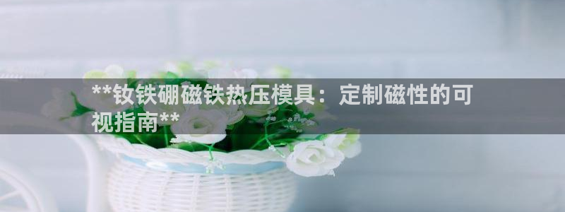 易倍企业管理软件：**钕铁硼磁铁热压模具：定制磁性的可
