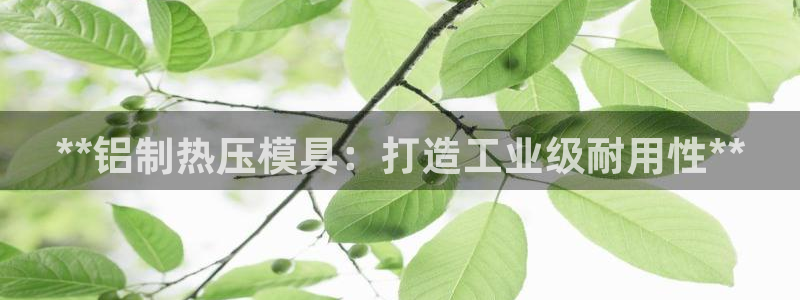 易倍下载：**铝制热压模具：打造工业级耐用性**
