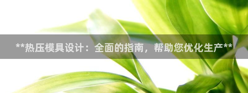 易倍申和易倍清的区别：**热压模具设计：全面的指南，帮助