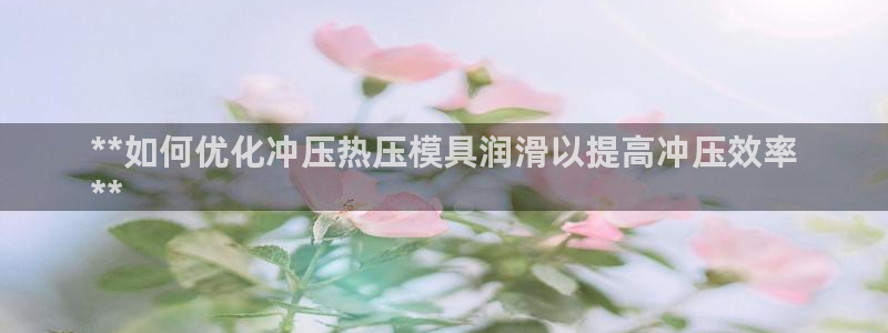 易倍思怎么样：**如何优化冲压热压模具润滑以提高冲压效率