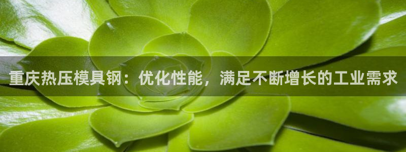 Emc易赔体育：重庆热压模具钢：优化性能，满足不断增长的