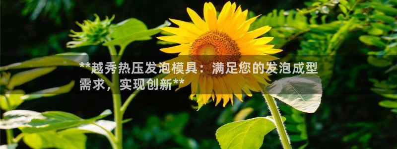 emc频率：**越秀热压发泡模具：满足您的发泡成型
需求