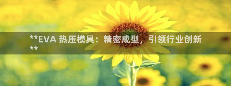 emc低频不过：**EVA 热压模具：精密成型，引领行业
