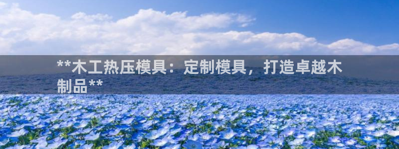 emc易倍官网app下载：**木工热压模具：定制模具，打