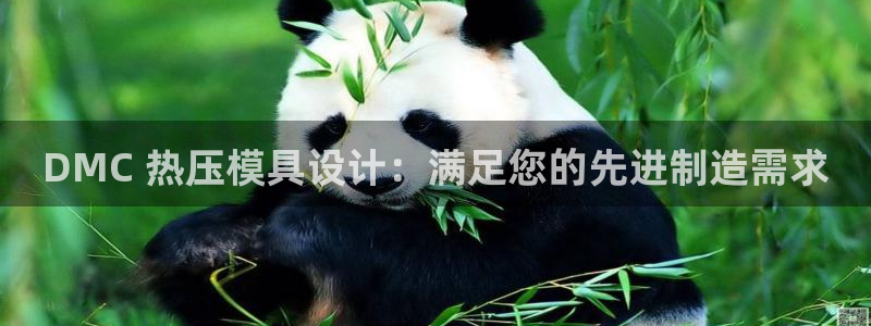 Emc易赔体育：DMC 热压模具设计：满足您的先进制造需