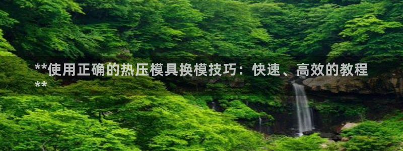 易倍emc安全吗：**使用正确的热压模具换模技巧：快速、