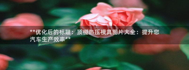 emc全站下载：**优化后的标题：顶棚热压模具图片大全：