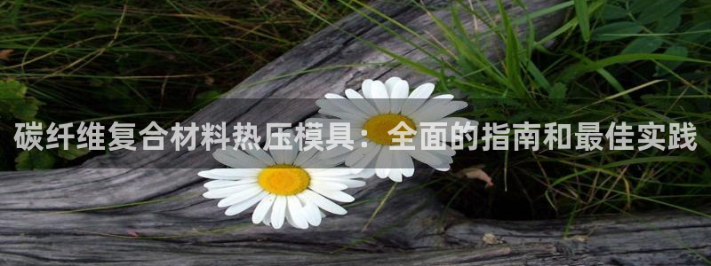 emc易贝体育怎么样：碳纤维复合材料热压模具：全面的指南