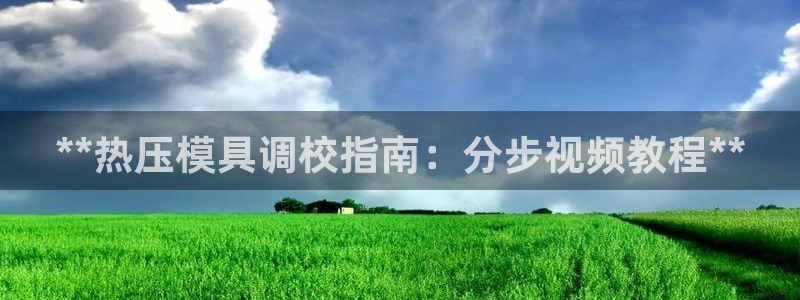 emc低频不过：**热压模具调校指南：分步视频教程**