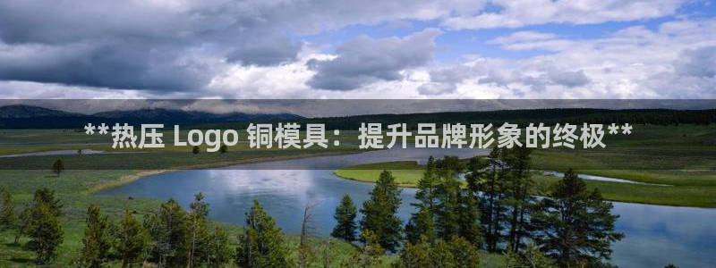 EMC倍频原理：**热压 Logo 铜模具：提升品牌形象
