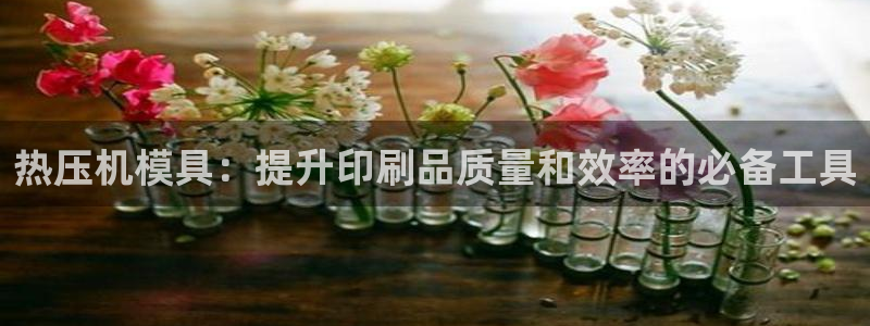 emc易倍怎么样：热压机模具：提升印刷品质量和效率的必备