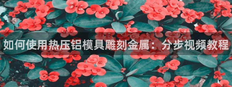 emc易倍：如何使用热压铝模具雕刻金属：分步视频教程