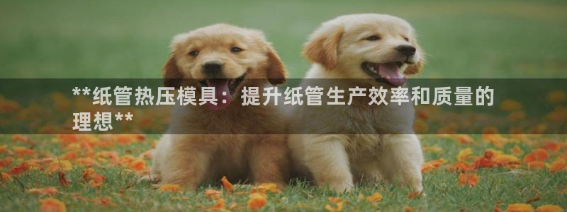 易倍申能长期吃吗：**纸管热压模具：提升纸管生产效率和质