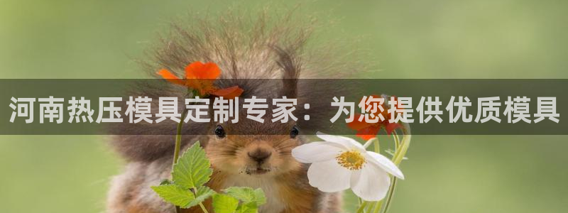 emc易倍网页版：河南热压模具定制专家：为您提供优质模具