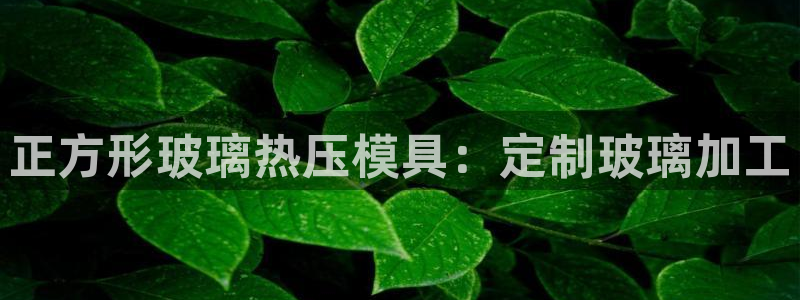 emc倍频干扰怎么解决：正方形玻璃热压模具：定制玻璃加工