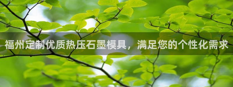 易倍申能长期吃吗：福州定制优质热压石墨模具，满足您的个性
