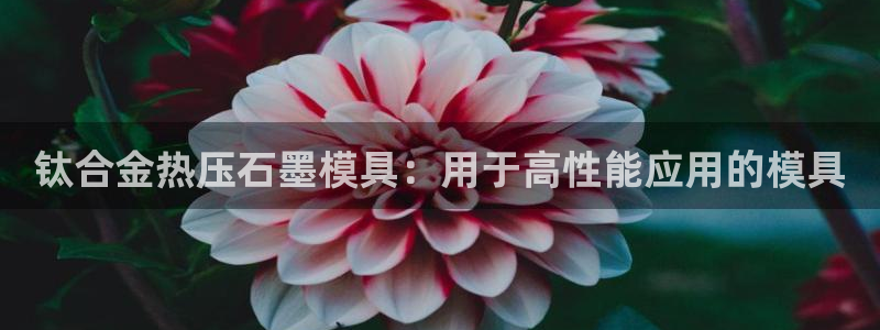 emc参数：钛合金热压石墨模具：用于高性能应用的模具
