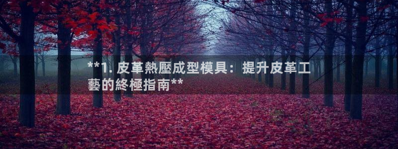 易倍申在中国成功上市：**1. 皮革熱壓成型模具：提升皮