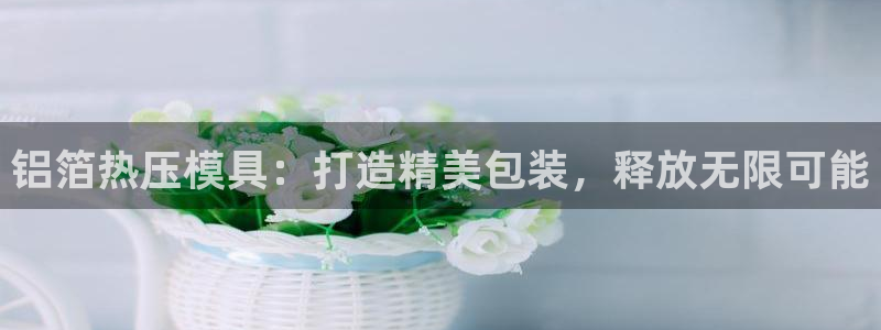 emc倍频干扰：铝箔热压模具：打造精美包装，释放无限可能
