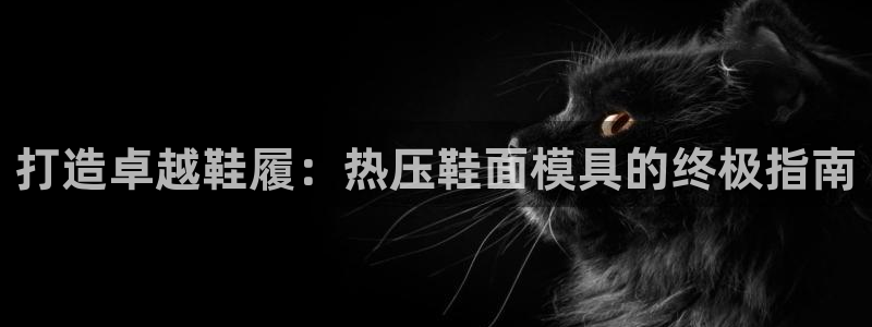 易倍申可以长期服用吗：打造卓越鞋履：热压鞋面模具的终极指
