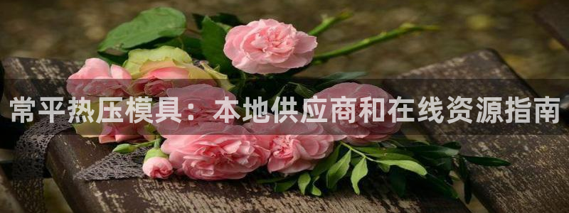 易倍易倍单词官方网站：常平热压模具：本地供应商和在线资源