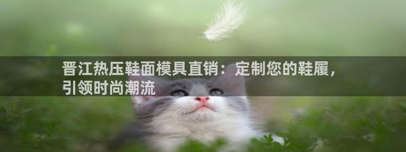 易倍易趣网：晋江热压鞋面模具直销：定制您的鞋履，
引领时