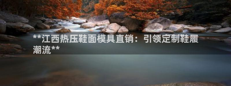 易倍单词登录平台：**江西热压鞋面模具直销：引领定制鞋履